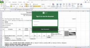 Excel New Scam Page